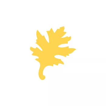 Dziurkacz Ozdobny Dąb  2,5 cm