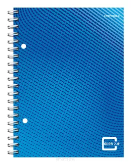 Kołozeszyt Top-2000 Color 2.0 A5/80k Kratka smartkleks.pl