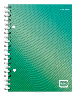Kołozeszyt Top-2000 Color 2.0 A5/80k Kratka smartkleks.pl