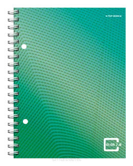 Kołozeszyt Top-2000 Color 2.0 A5/80k Kratka smartkleks.pl