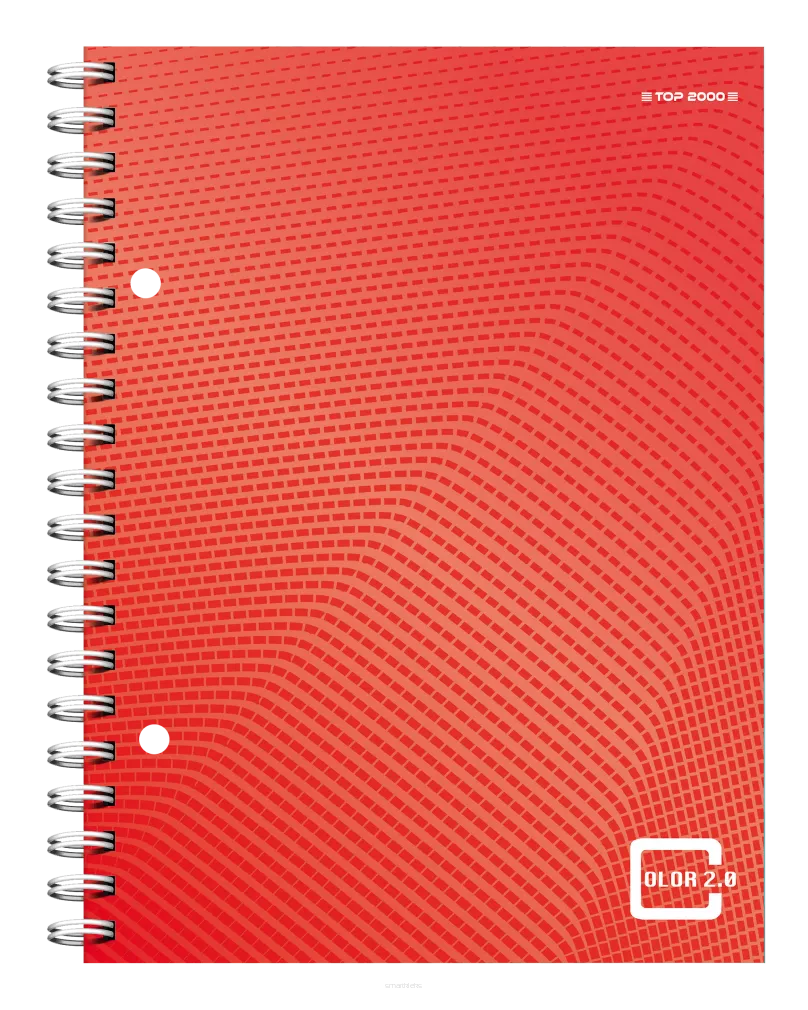 Kołozeszyt Top-2000 Color 2.0 A5/80k Kratka smartkleks.pl