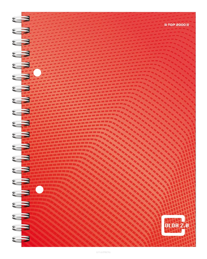Kołozeszyt Top-2000 Color 2.0 A5/80k Kratka smartkleks.pl