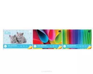 Blok Techniczny Kolorowy A4180g 20 kartek Interdruk