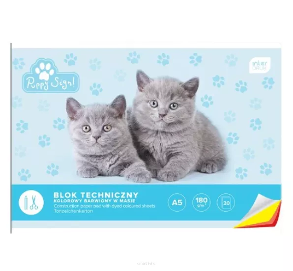 Blok Techniczny Kolorowy A4180g 20 kartek Interdruk